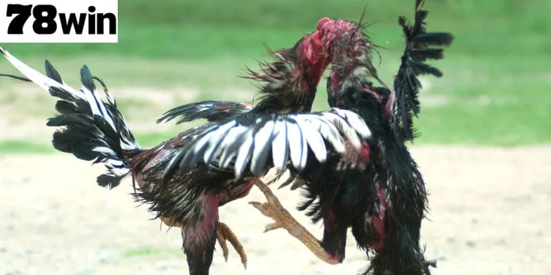 ควบคุมอารมณ์เพื่อหลีกเลี่ยงข้อผิดพลาดเมื่อโกรธ